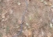 Превью отзыва 4